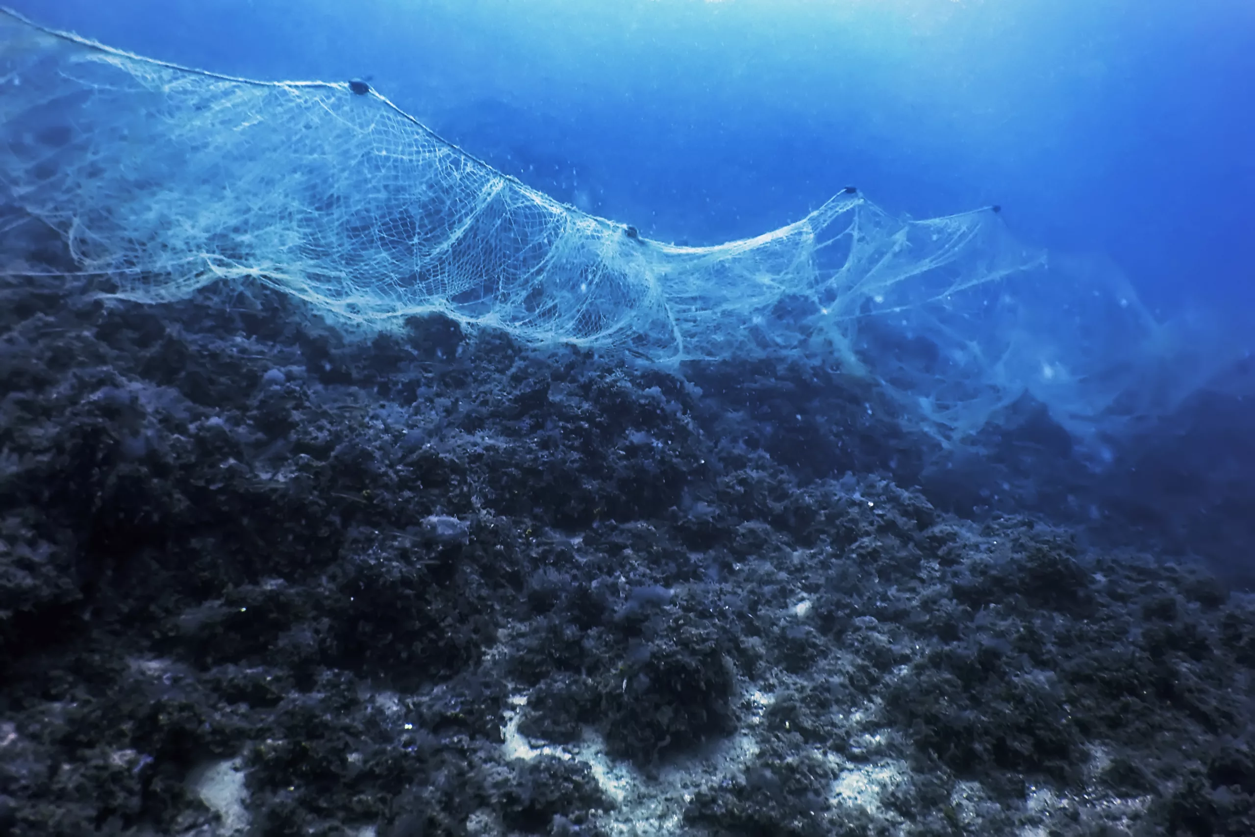 A fishing net underwater fixed on the seabed, deep water